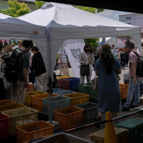 2024年蔵出し市 2024