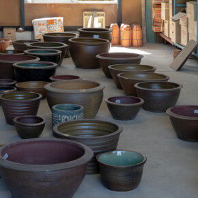 2024年蔵出し市 2024