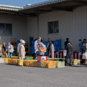 2024年蔵出し市 2024