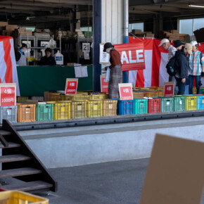 2024年蔵出し市 2024