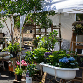 2025年クラフトテント通り 2025