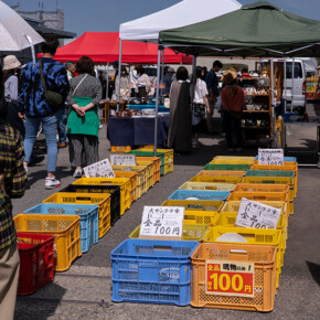 2025年蔵出し市 2025