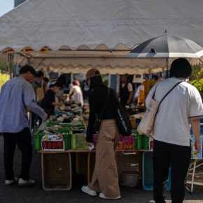 2025年蔵出し市 2025