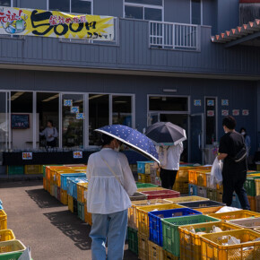 2025年蔵出し市 2025