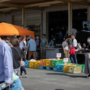 2025年蔵出し市 2025