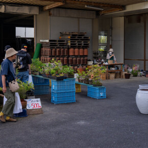 2025年蔵出し市 2025