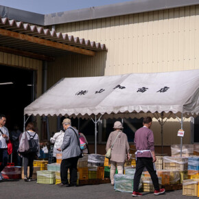 2025年蔵出し市 2025